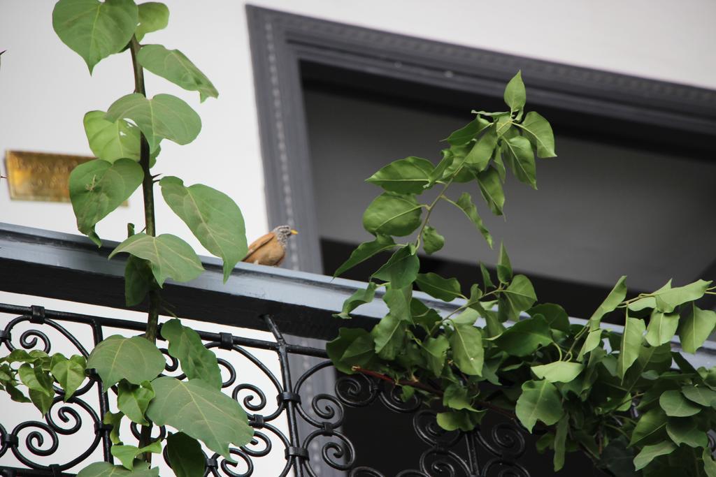 Bougainvillea Riad Marrakesh Exterior photo